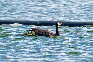 _36A7457_DxO copy.jpg