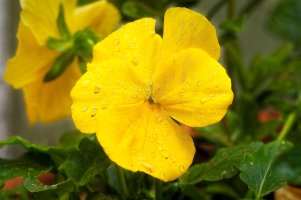 _MG_7777_DxO copy-Edit2.jpg