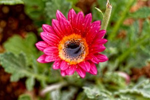 _MG_7770_DxO copy1.jpg