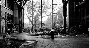 Hotel lobby in the evening_DxOVP.jpg