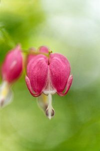 _MG_7890_DxO-1 copy.jpg