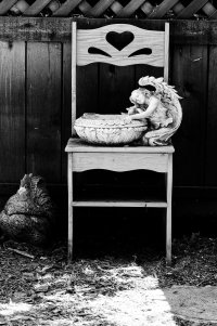 Apple Photos Document.jpg