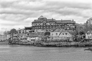 _36A2372_DxO copy.jpg