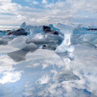 _IMG0790 square crop v2 .jpg