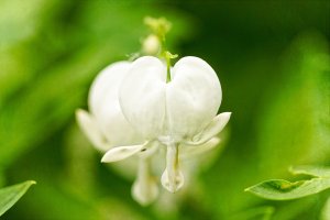 _MG_7874_DxO copy.jpg