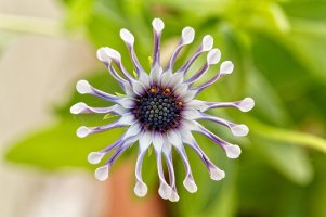 _MG_7783_DxO copy.jpg