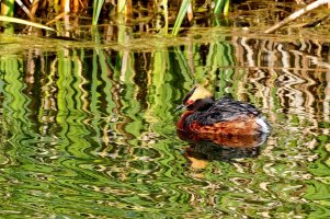 _36A7862_DxO copy.jpg