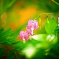 _MG_7810_DxO copy.jpg