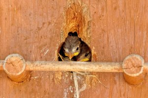 _36A8349_DxO copy.jpg