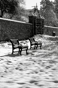 _36A2852_DxO copy.jpg