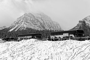 _MG_7213_DxO copy.jpg