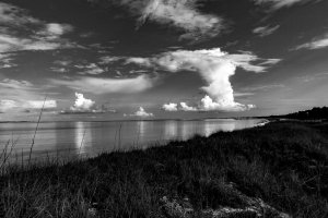 Mexico Beach Florida 1.jpg