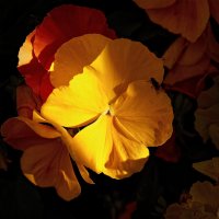 _MG_7935_DxO-Edit copy copy.jpg