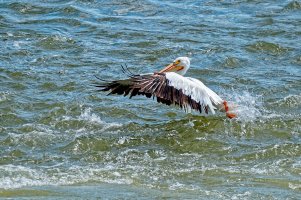 _36A8581_DxO copy.jpg