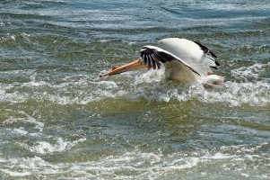 _36A8586_DxO copy1.jpg