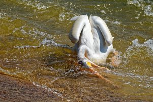 _36A8640_DxO copy.jpg