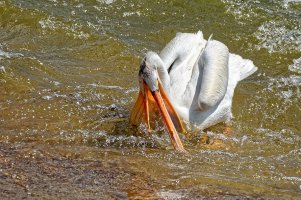 _36A8641_DxO copy.jpg