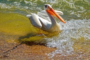 _36A8595_DxO copy.jpg