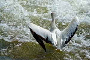 _36A8531 1_DxO copy1.jpg