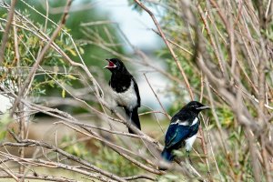 _36A8724_DxO copy.jpg