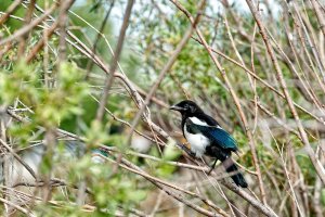 _36A8685_DxO copy.jpg