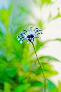 _MG_8044_DxO copy.jpg