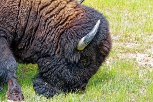 _36A9266_DxO copy.jpg