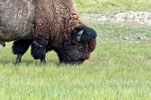 _36A9236_DxO copy.jpg