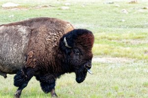 _36A9232_DxO copy.jpg