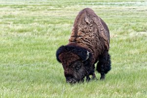 _36A9221_DxO copy.jpg