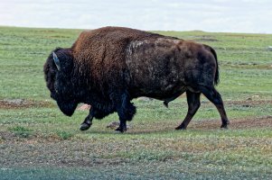 _36A9179_DxO copy.jpg