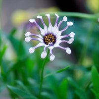 _DSF8645 copy copy.jpg