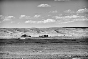 _DSF8454 copy (1).jpg