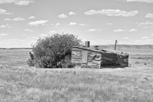 _DSF8453IrD copy copy.jpg