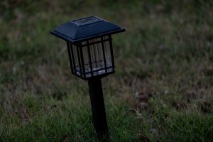 20180710-4444.jpg