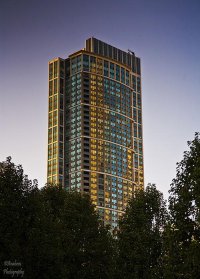 IMG_0761.jpg