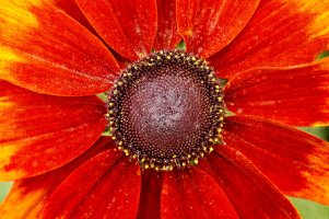 _MG_8142_DxO copy.jpg