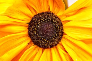 _MG_8146_DxO copy.jpg