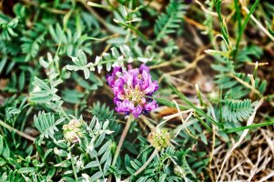 _MG_8079_DxO copy.jpg