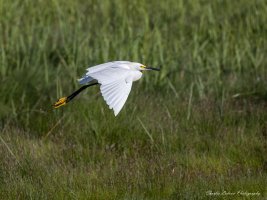 LRM_EXPORT_20180722_213148 med.jpg