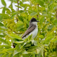 _36A9760_DxO copy.jpg