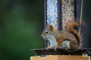 01 TC Performance.jpg