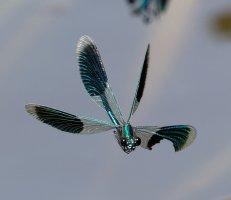 bandeddemoiselle_inflight_3Q7A6233-DxO_bVVVG.jpg