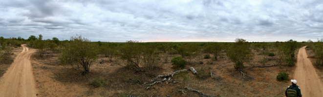 Screen Shot 2018-08-12 at 10.49.27.png