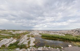 DH18-08-04_0396-3 images.jpg