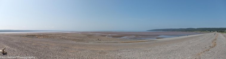 DH18-08-06_0477-5 images.jpg