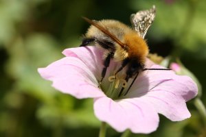 20180818_0207.JPG