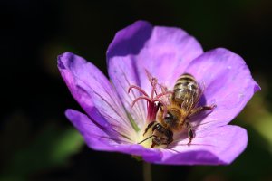 20180818_0277.JPG