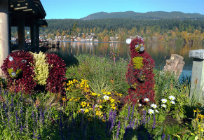 Asus Zenfone-2 Image Sample 1 - Port Moody, BC, Canada Harbour.png