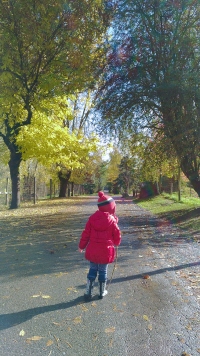 Asus Zenfone-2 Image Sample 2 - Vancouver Game Farm.png